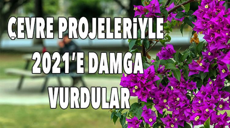 2 MİLYON ADET BİTKİ DİKTİLER