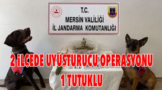 MERSİN’DE UYUŞTURUCU OPERASYONU