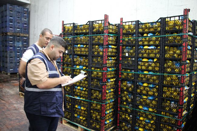 Mersin'de limon depoları denetleniyor