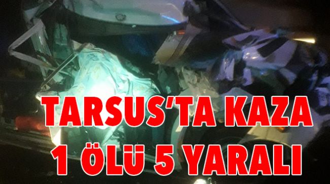 TARIM İŞÇİLERİNİ TAŞIYAN MİNİBÜS KAZA YAPTI