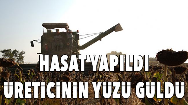 AYÇİÇEK TOHUMUNUN HASADI YAPILDI