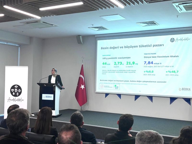 BURSA'NIN YABAN MERSİNİ İÇİN YOL HARİTASI PAYDAŞLARLA ÇİZİLİYOR