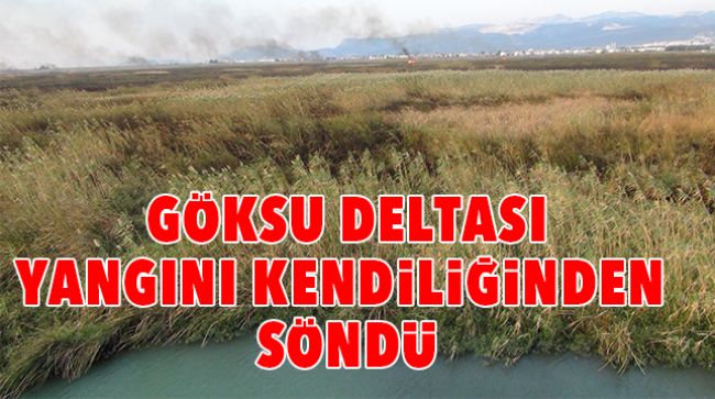 GÖKSU DELTASINDAKİ YANGIN SÖNDÜ