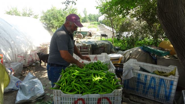 Serada çalışan işçiler sıcakta bunalıyor