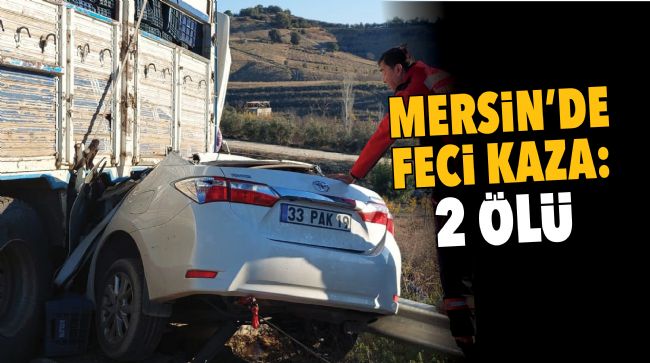 AĞAÇ KÜTÜĞÜ CANLARINA MAL OLDU