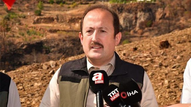 YANAN ORMANLIK ALAN KIZILÇAM TOHUMU İLE YEŞERECEK