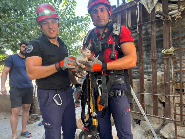 Su kuyusuna düşen yavru kediyi, itfaiye kurtardı