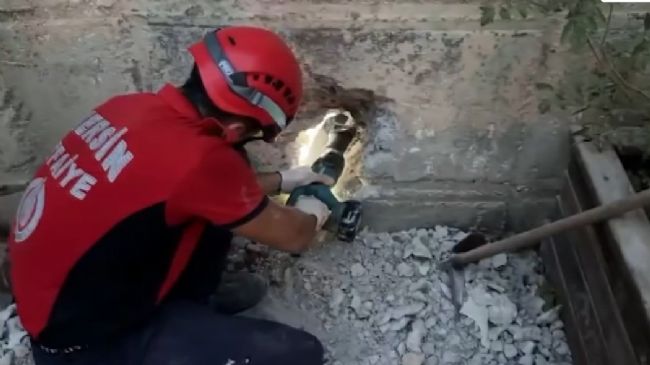 Beton blok arasında sıkışan yavru kedi kurtarıldı