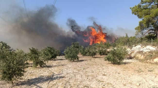 Silifke'deki orman yangını nedeniyle 4 mahalle boşaltıldı