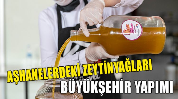 ZEYTİNLERİ ZEYTİNYAĞINA DÖNÜŞTÜRÜP AŞHANE’DE KULLANMAYA BAŞLADILAR