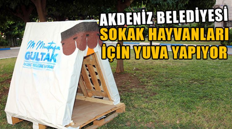 AKDENİZ BELEDİYESİ, SOKAKTA YAŞAYAN CANLARI SOĞUKTAN KORUMAK İÇİN KULÜBELER ÜRETİYOR