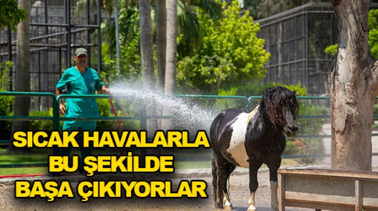 TARSUS DOĞA PARKI SAKİNLERİNE BUZLU MEYVE KOKTEYLİ