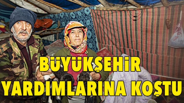120 KÜÇÜKBAŞ HAYVAN KURTARILDI