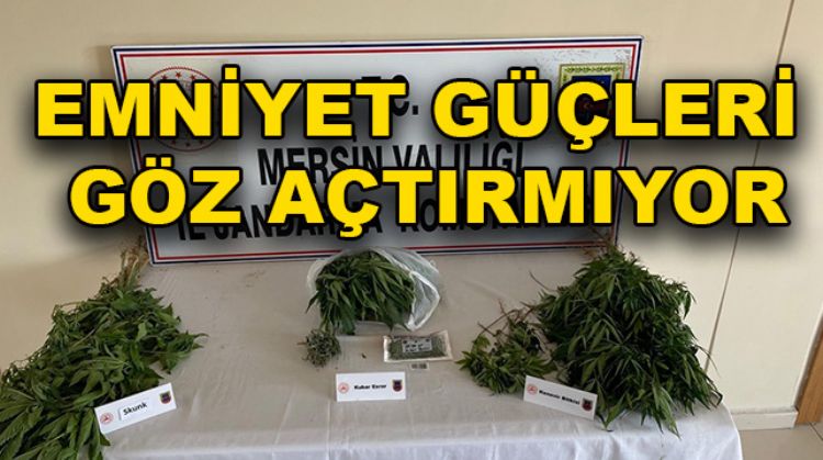 SİLİFKE VE TARSUS’TA UYUŞTURUCU OPERASYONU