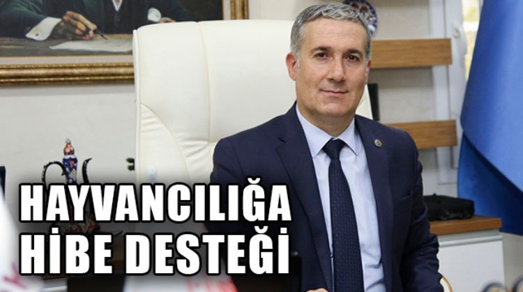 TKDK'DAN MERSİN’DE KOYUN-KEÇİ YETİŞTİRİCİLERİNE HİBE DESTEĞİ VERİLECEK