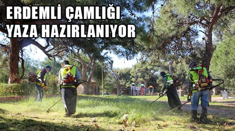 ERDEMLİ ÇAMLIĞINDA BAKIM ÇALIŞMASI GERÇEKLEŞTİRİLİYOR