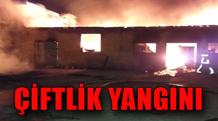 TARSUS’TA YANGIN