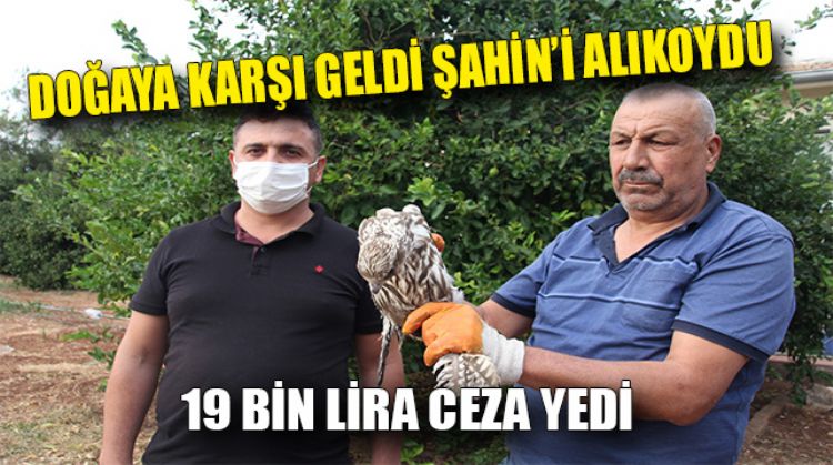 ŞAHİN BESLEDİĞİ İÇİN 19 BİN LİRA CEZA YEDİ
