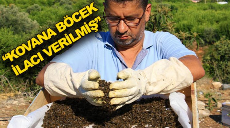 1 MİLYONDAN FAZLA ARI ZEHİRLENDİ