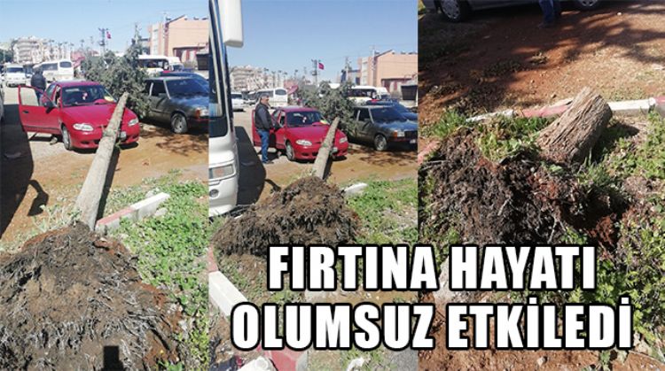 TARSUS’TA ŞİDDETLİ FIRTINADA ARAÇLAR VE SERALAR BÜYÜK ZARAR GÖRDÜ