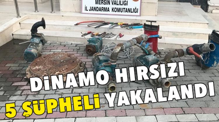 YAPILAN OPERASYON İLE ELE GEÇİRİLDİLER