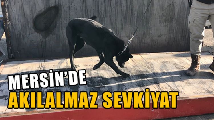 MERSİN’DEN ARAP ÜLKELERİNE UYUŞTURUCU SEVKİYATI