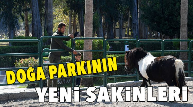 YENİ YAVRULAR BÜYÜK İLGİ GÖRÜYOR