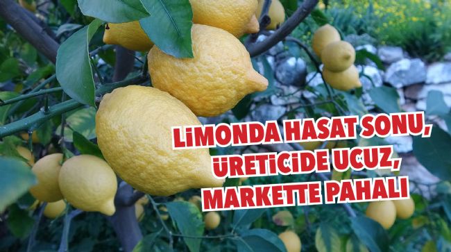 ÜRETİCİ DE TÜKETİCİ DE ŞİKAYETÇİ