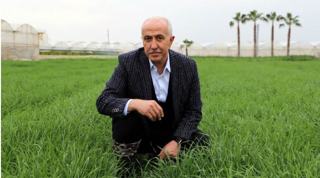 DENEME AMAÇLI EKİLEN ATALIK KARAKILÇIK BUĞDAYI TOHUMU BOY VERDİ
