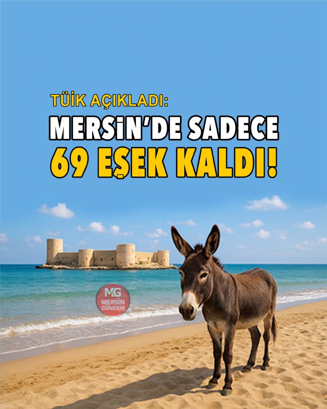 Mersin'de sadece 69 eşek kaldı