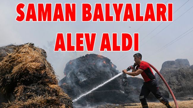 MERSİN’DE KORKUTAN OLAY