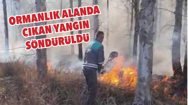ORMANLIK ALANDA ÇIKAN YANGIN SÖNDÜRÜLDÜ
