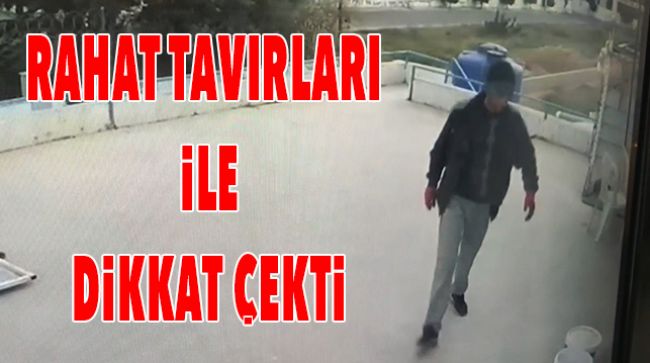 HIRSIZIN RAHATLIĞI PES ETTİRDİ