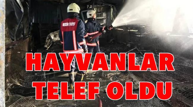 ÇİFTLİKTE YANGIN ÇIKTI