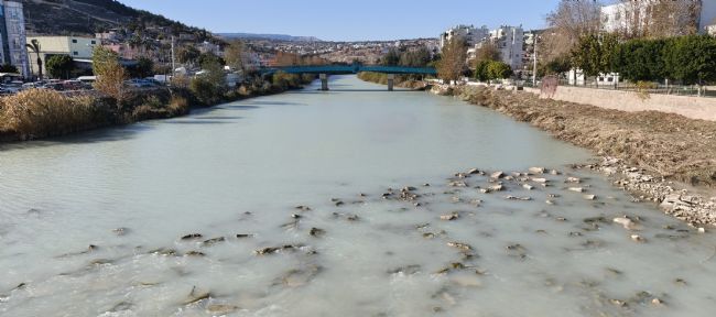 Göksu siyah akmaya başladı, akıllara 3 yıl önceki hadise geldi