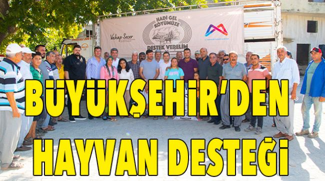 ÜRETİCİLERE KÜÇÜKBAŞ HAYVAN DAĞITILDI