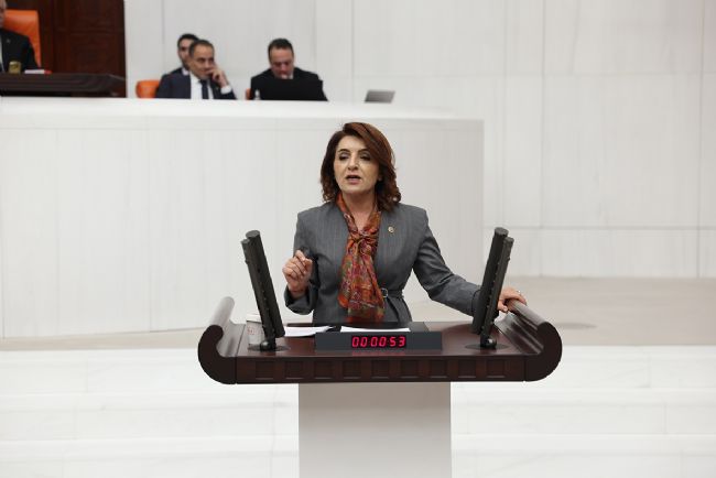 CHP'li Gülcan Kış: Aile Yılı, Yoksulluk Yılına Döndü