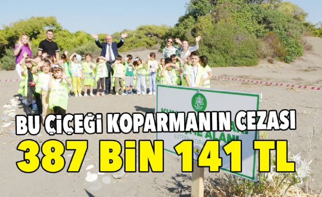 KUM ZAMBAKLARI KORUMA ALTINA ALDI