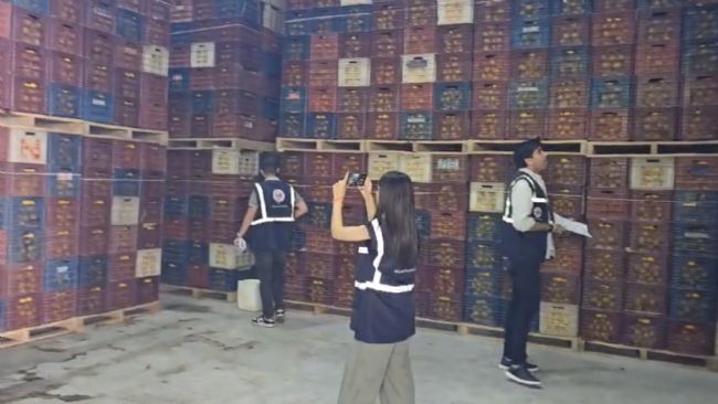 Mersin'de limon depolarında denetimler sürüyor