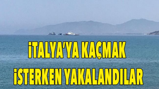 223 GÖÇMEN YAKALANDI