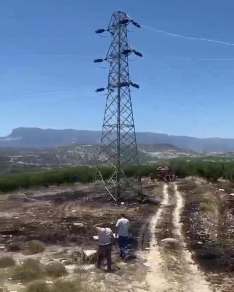 Mut'ta 6 dekar bahçe yangında zarar gördü