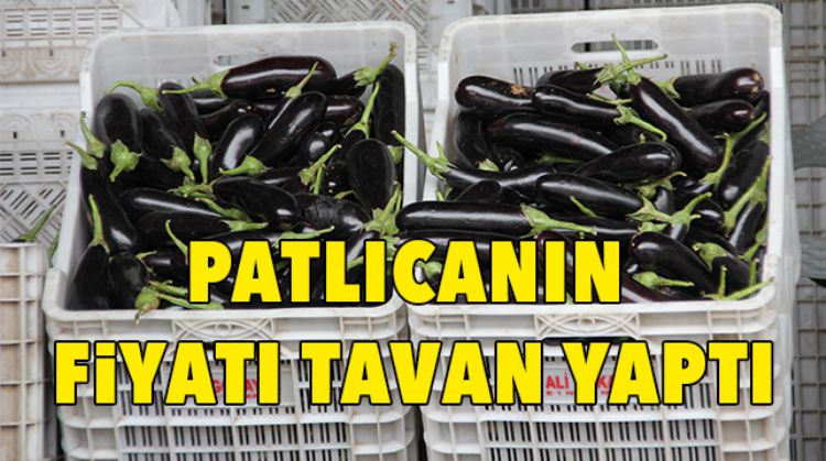 MERSİN’İN OCAK AYI ENFLASYONU YÜZDE 50,61 OLDU