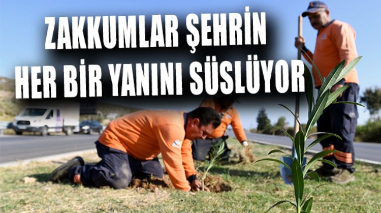 MERSİNLİ ÜRETİCİ KADINLARIN ÜRETTİKLERİ ZAKKUMLAR YERLERİNİ ALDILAR