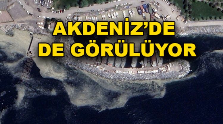AKDENİZ’DE TEHLİKEDE