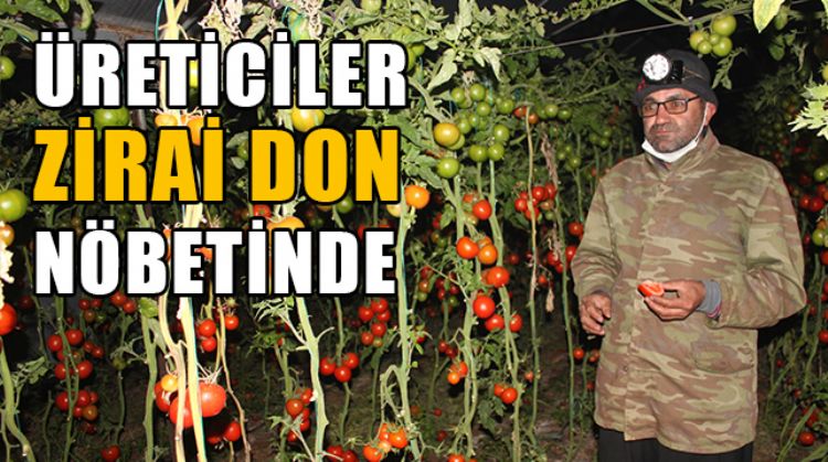 ERDEMLİ’DE ÜRETİCİLER DON RİSKİ NEDENİYLE SOBA YAKARAK NÖBET TUTTU