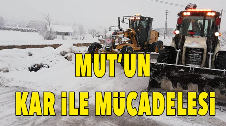 MUT KARLA KAPLANDI
