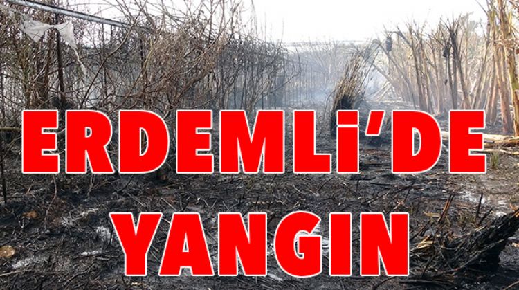 MERSİN ÜNİVERSİTESİ KOORDİNATÖRLÜĞÜNDEKİ PROJEYLE KIRSALDAKİ KADINLARA GİRİŞİMCİ OLMA FIRSATI SUNULACAK