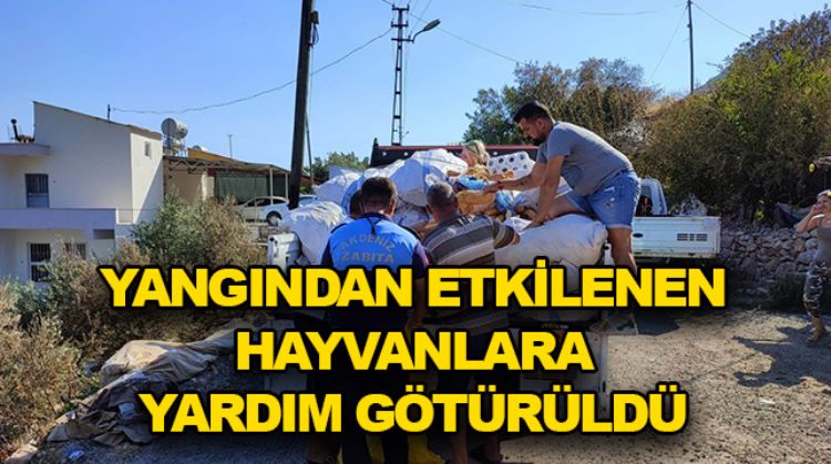 “TÜM İMKANLARIMIZI SEFERBER ETTİK”