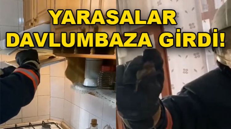 SİLİFKE’DE BİR EVE YARASA GİRDİ