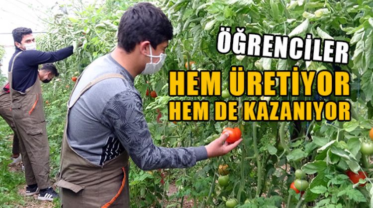 ERDEMLİ’DE TARIM LİSESİ ÖĞRENCİLERİ YETİŞTİRDİĞİ ÜRÜNLERİ SATARAK BÜTÇELERİNE KATKI SAĞLIYOR